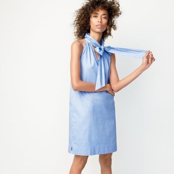 Size 10 J. Crew Tie Neck Oxford lined Dress